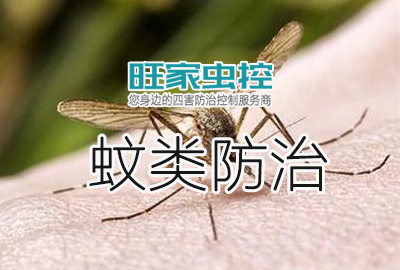 郴州蚊類防治服務